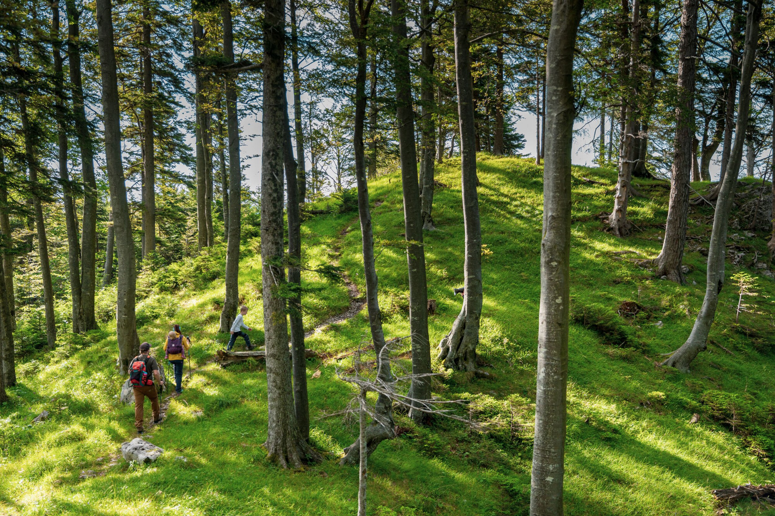 Wandern in Inzell und der Chiemgauer Bergwelt