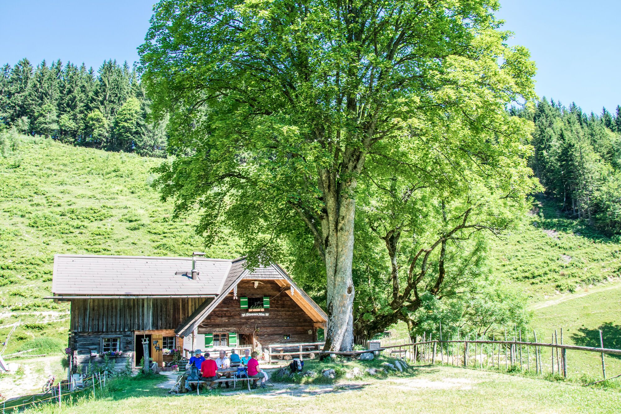 Steineralm am Fuße des Staufens