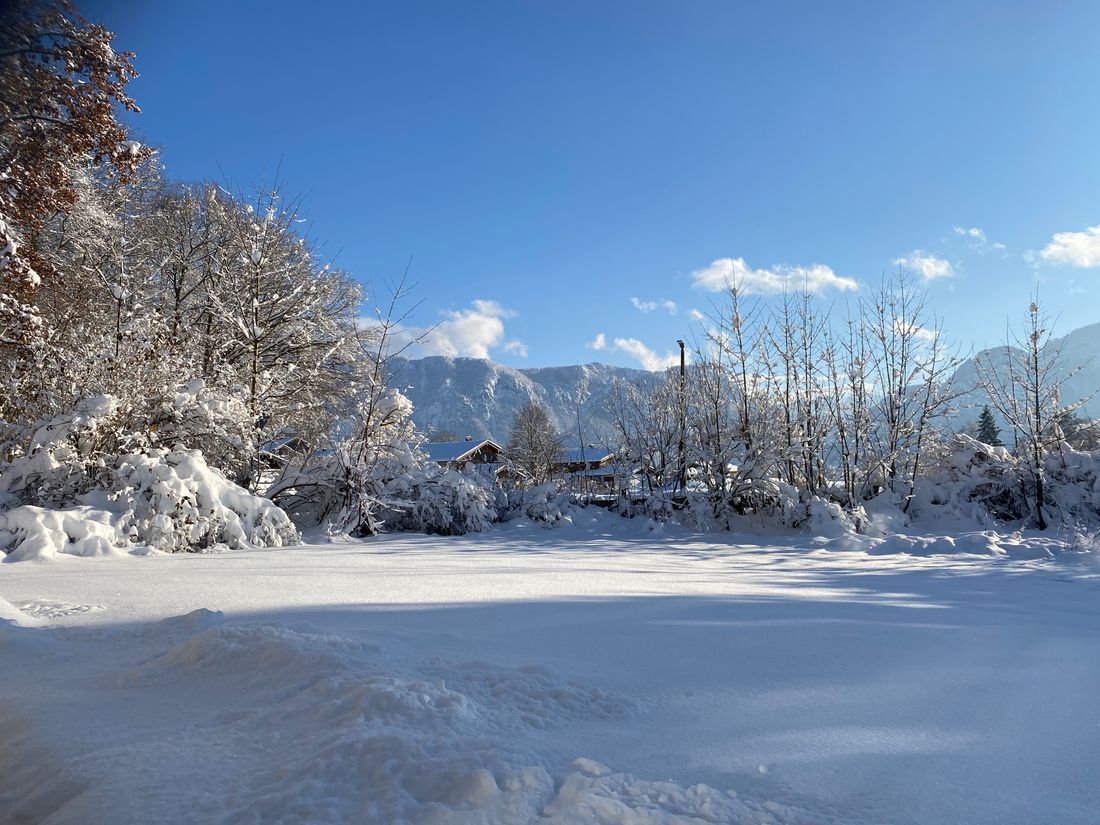 Garten schneebedeckt