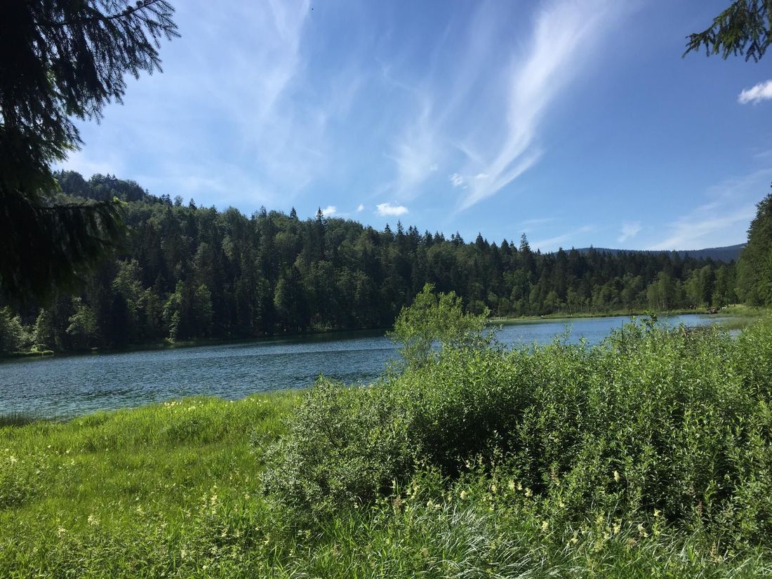 Frillensee
