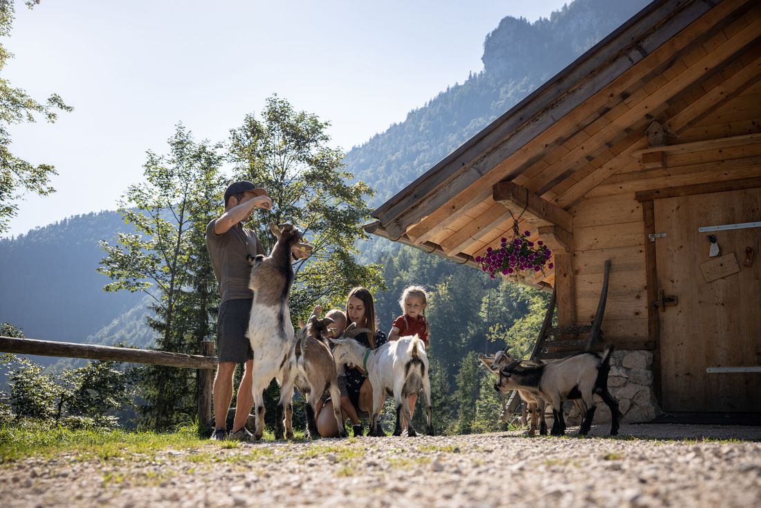 Familienfreundliches Ausflugsziel - die Moaralm in Inzell