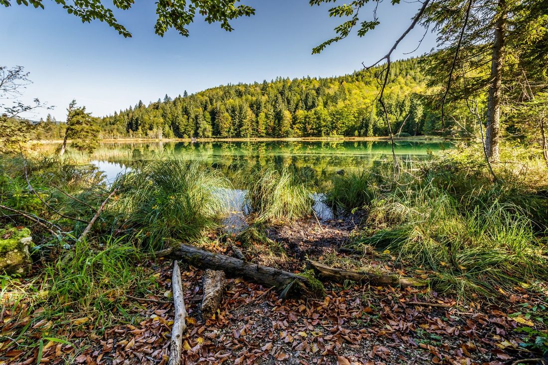 Frillensee