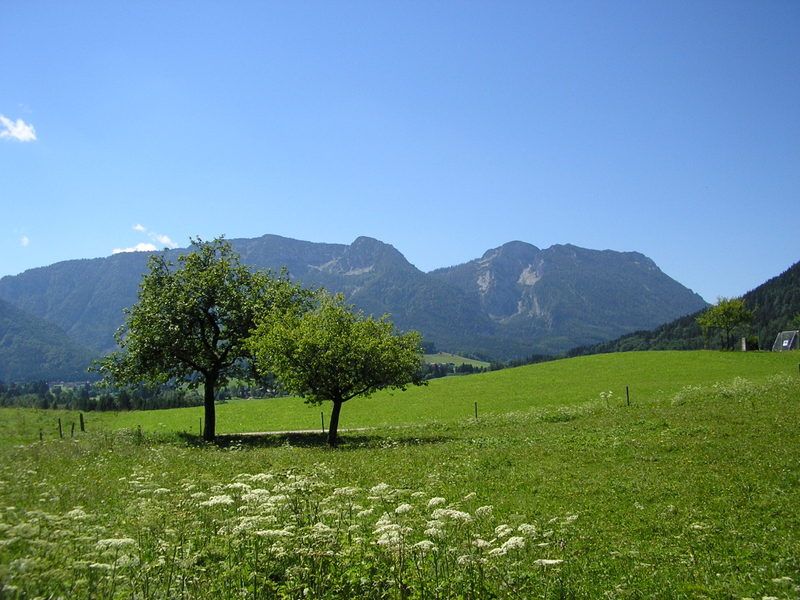 Ausblick auf den Kienberg und Rauschberg