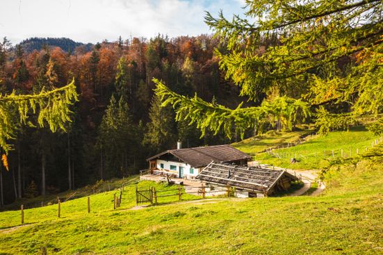 Bichler-Alm