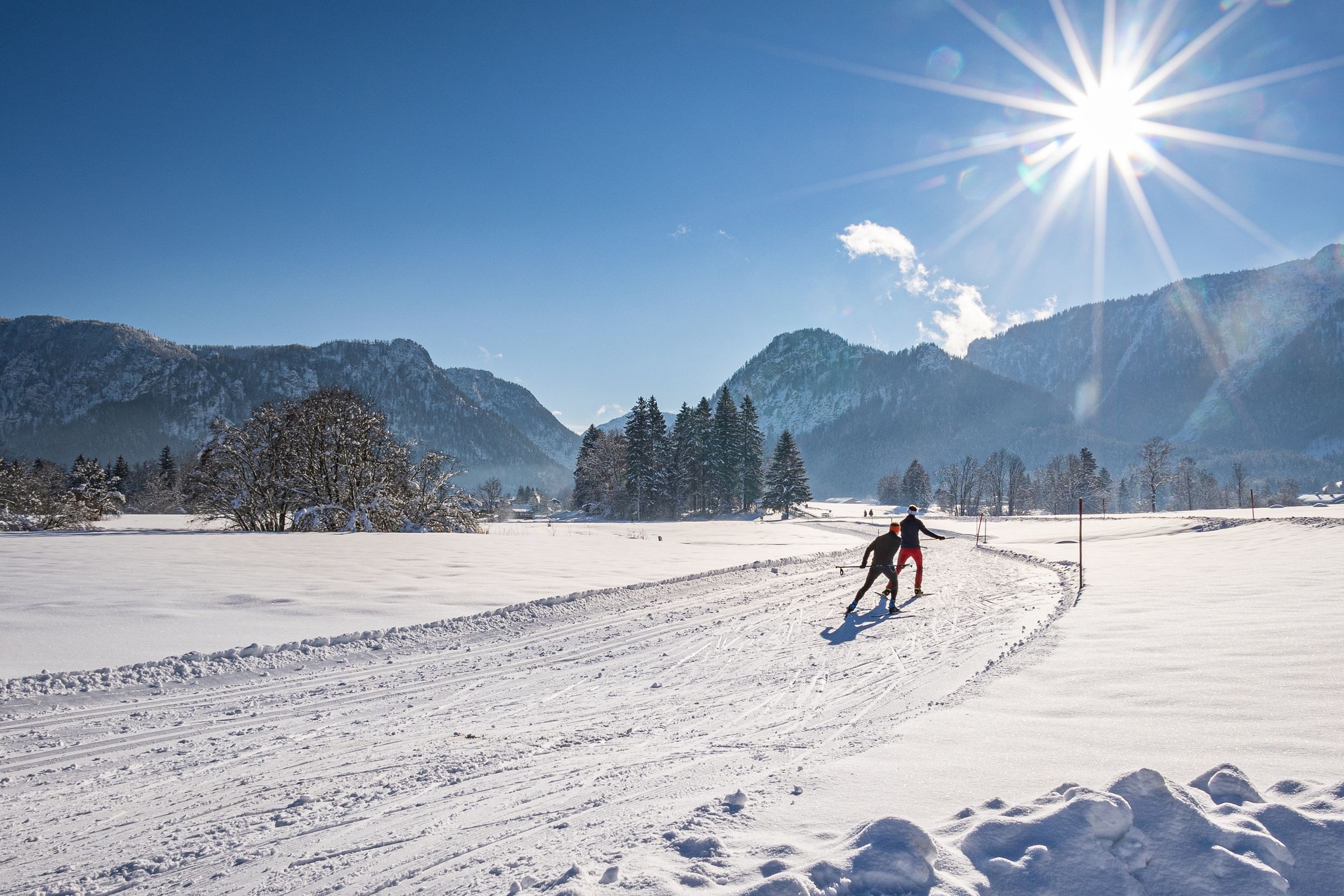 inzell winter panorama langlaufen_j.dehn (4)