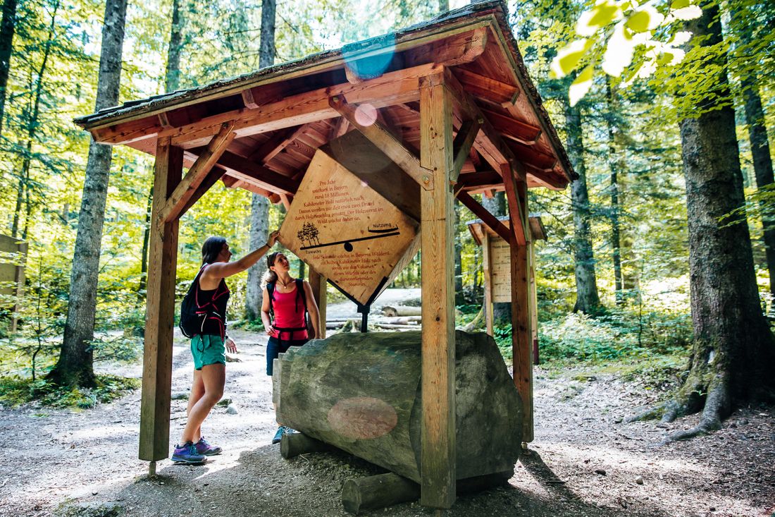 Station auf dem Bergwald-Erlebnispfad