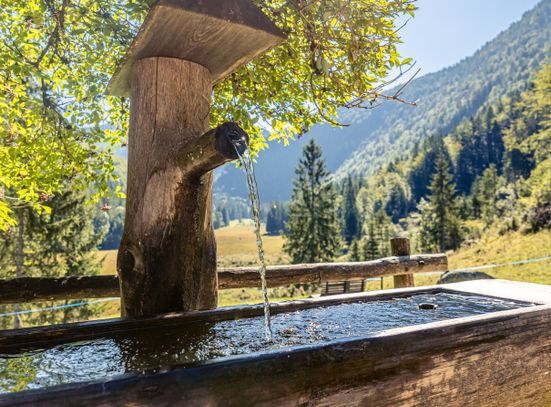 Brunnen Moar Alm