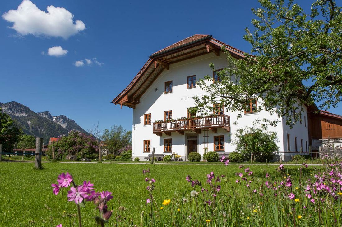 Die geräumigen Ferienwohnungen befinden sich in der historischen Mühle, die detailverliebt restauriert wurde