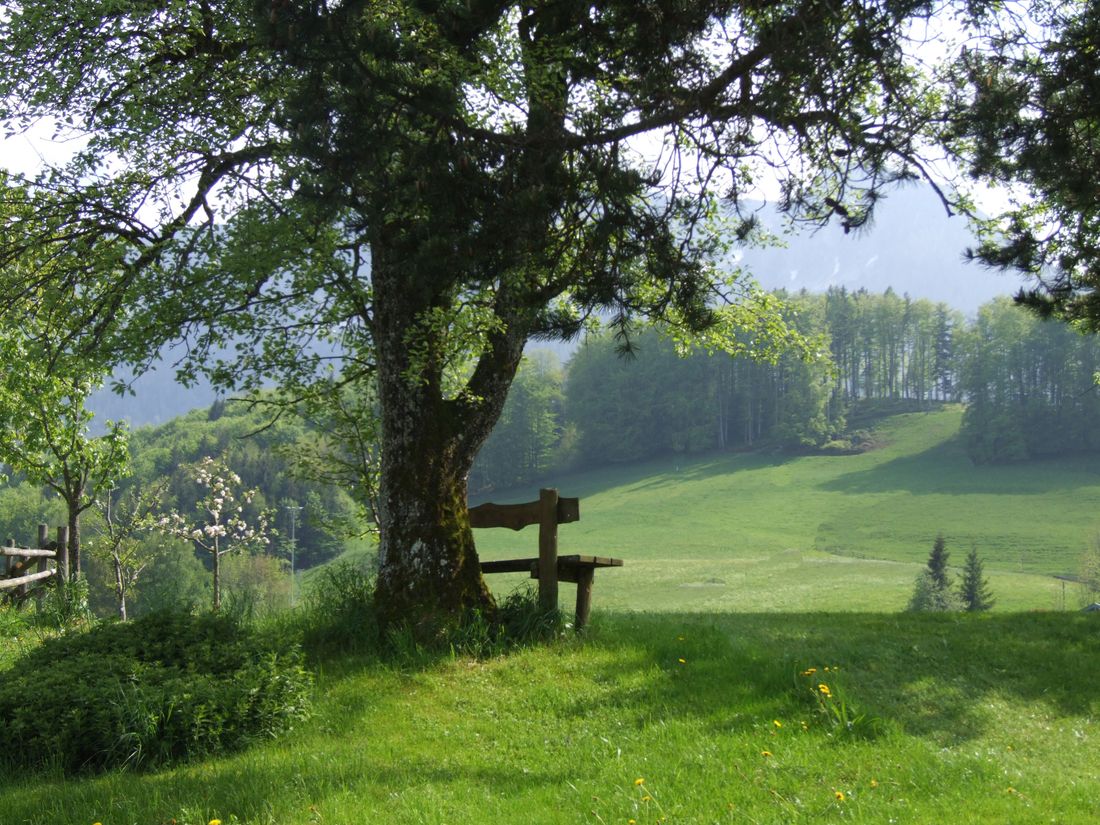 inzell-sommer-panorma-bankerl