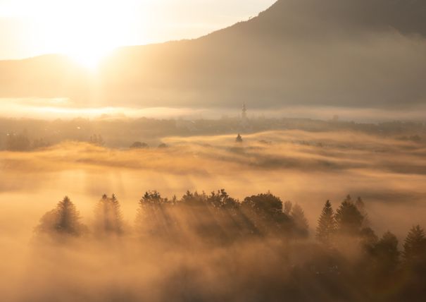 Krimitour Akte Falkenstein