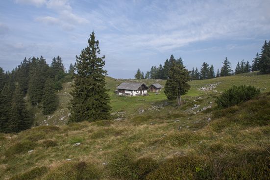 Kohler Alm