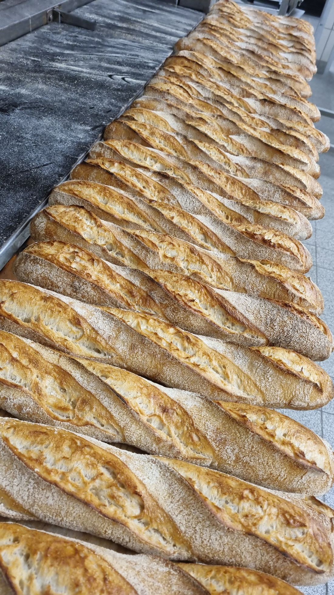 Café Bäckerei Höck