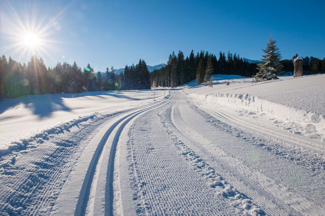 Langlaufloipe auf der Winklmoos-Alm