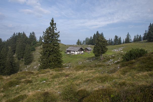 Kohler Alm