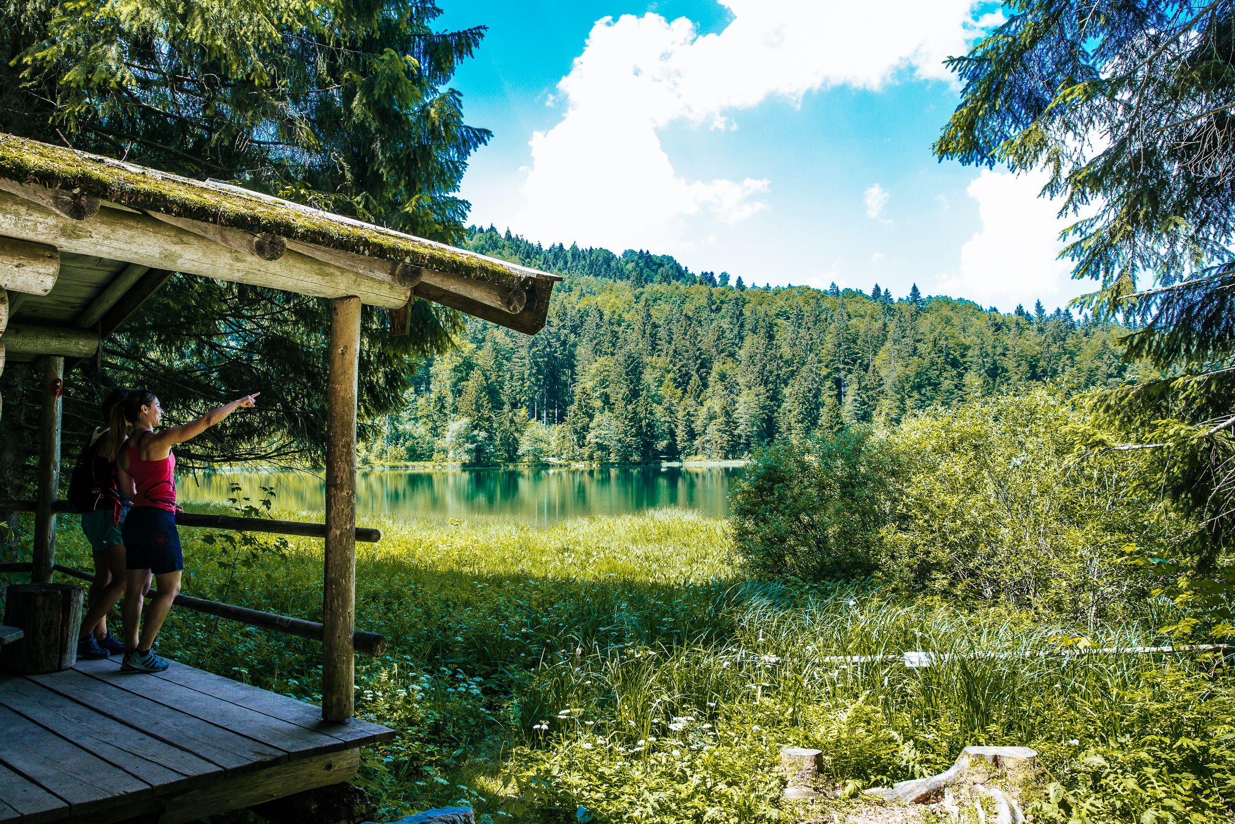 Inzell sommer natur wandern_9