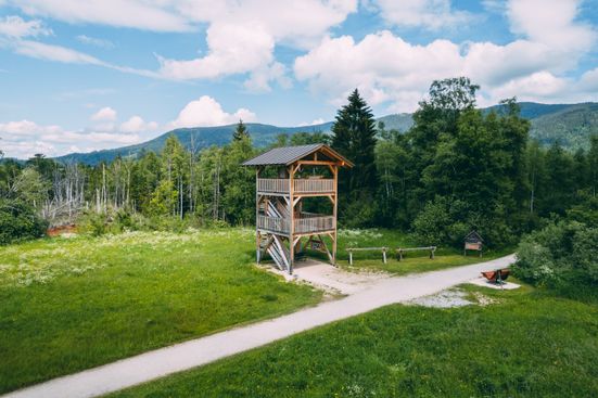 Inzell Sommer Frühling Moor Erlebnis Pfad Fuizn Wandern Talwanderung Natur Vogelbeobachtung Turm Flora Fauna