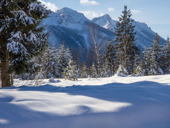 Blick auf den Kienberg