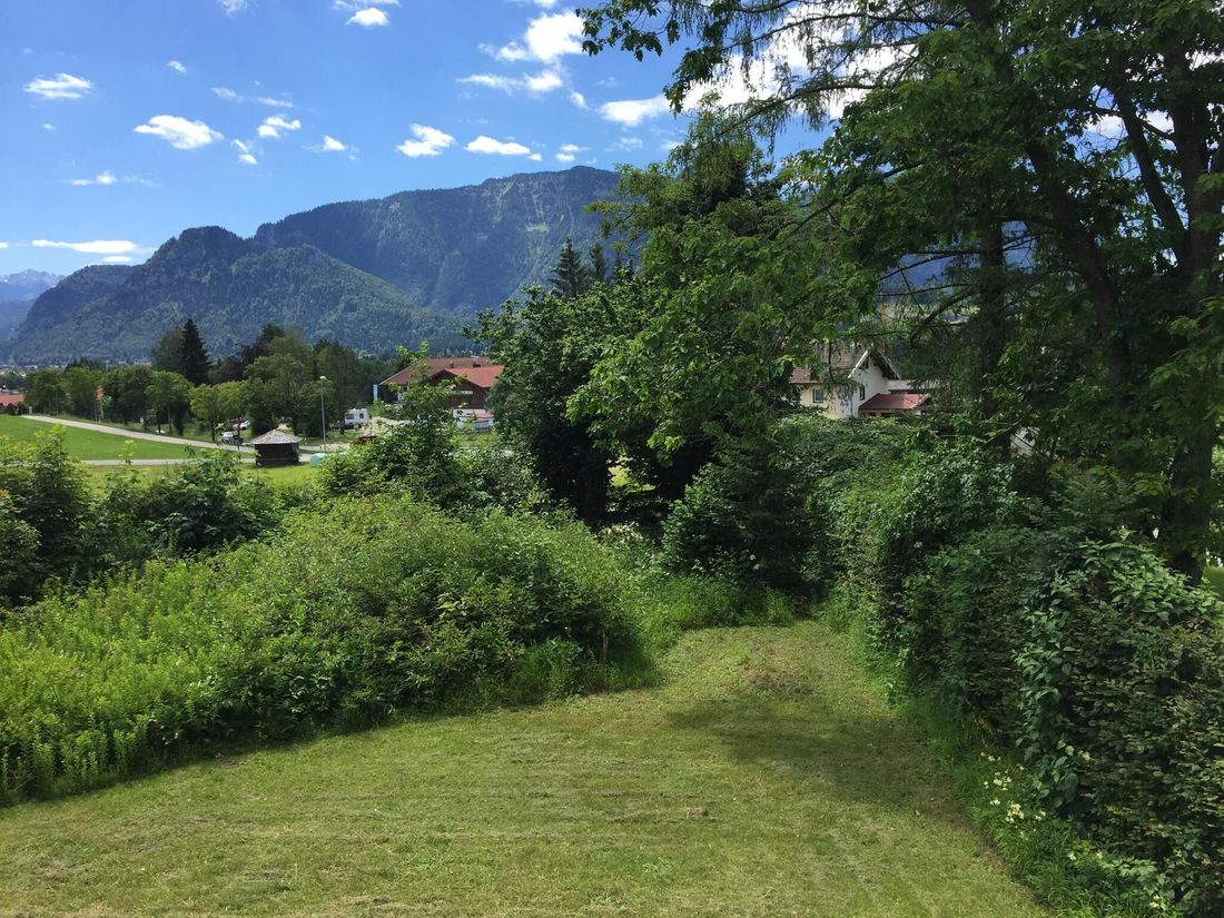 Ausblick