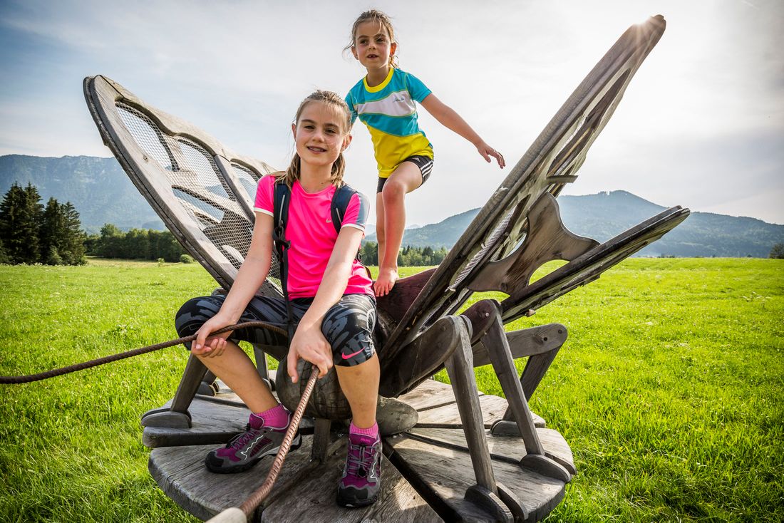 Fliege im Moorerlebnispark