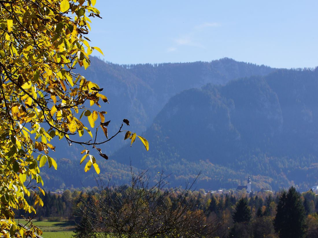 Ausblick