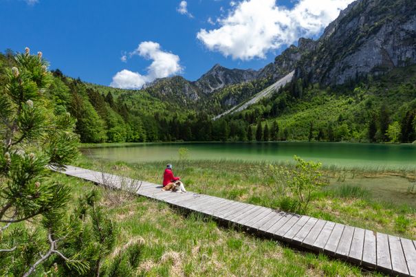 Sommer am Inzeller Frillensee