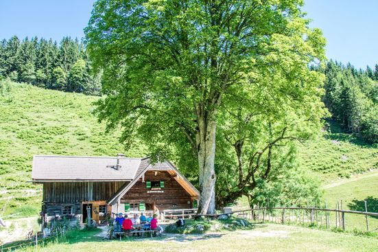 Steineralm am Fuße des Staufens