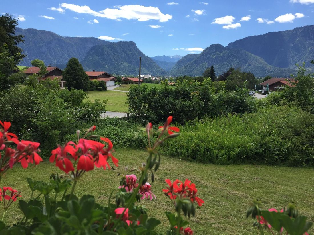 Blick zur Reiteralpe