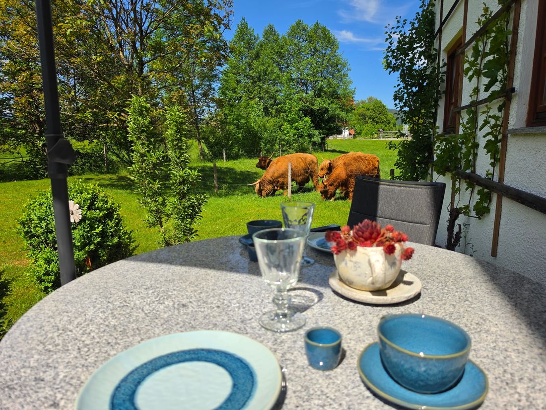 Ausblick Terrasse zu unseren Hochlandrindern
