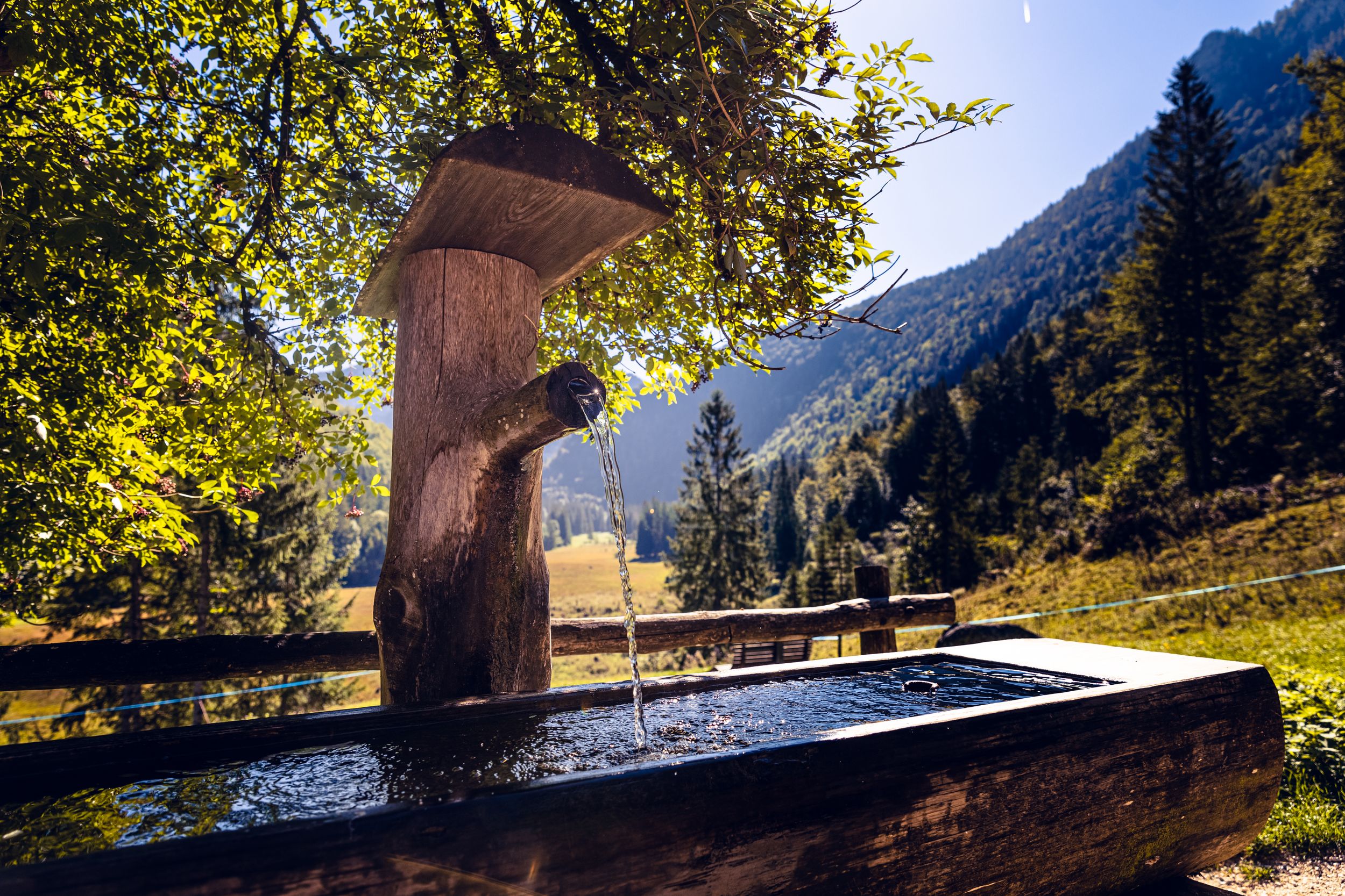 Inzell Sommer Brunnen Moaralm Wildenmoos