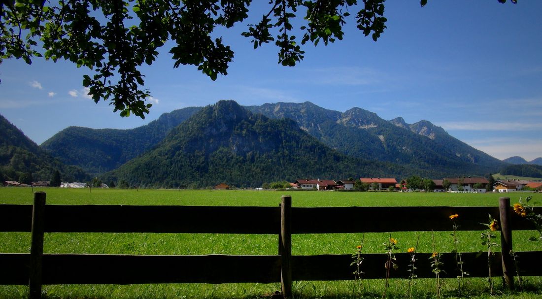 zimmerblick-wiese-im-winter-loipe
