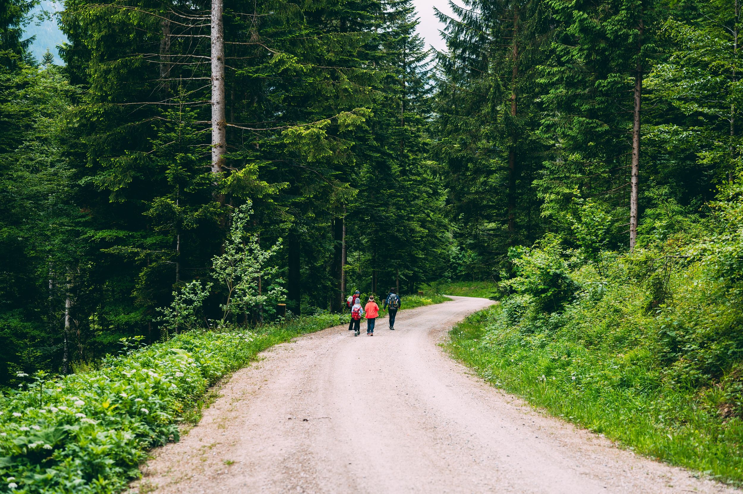 Weg zur Bäckeralm