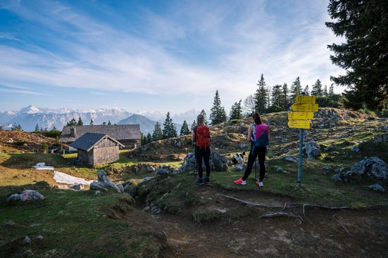 Inzell Kohleralm Gamsknogel