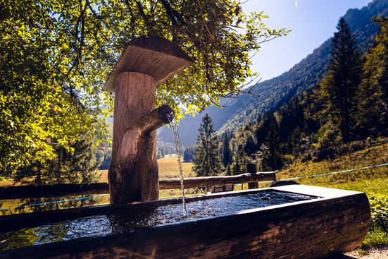 Inzell Sommer Brunnen Moaralm Wildenmoos
