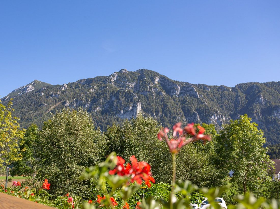 Blick auf den Gamskogel